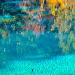 卡万金特色藏餐 User Photo