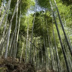 Old Kitchen User Photo