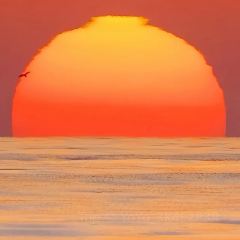 海岛日记(养马岛店) User Photo