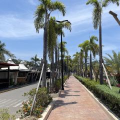 Jardin De la Vina Restaurant User Photo