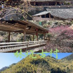 花开麦饼屋 User Photo
