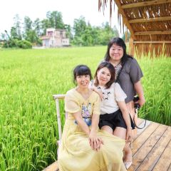 公益茶楼 User Photo