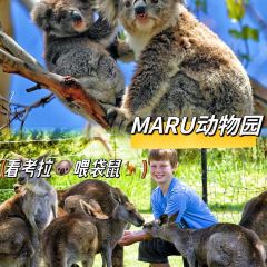 SkyHigh Mount Dandenong User Photo