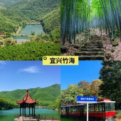 周震馄饨 User Photo