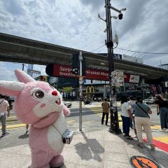 Pitt Club KL 여행 사진