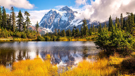 Chugach National Forest