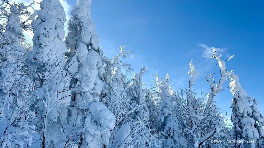 Yokote Sancho Hutte Kumo No Ue No Restaurant