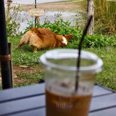 Elely Cafe’ แอลลี่ คาเฟ่張用戶圖片
