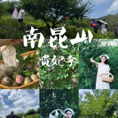 明味生態農莊張用戶圖片