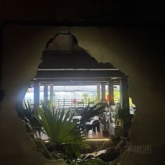 BAN DAO User Photo