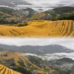 River view Restaurant 여행 사진