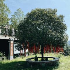 会馆山庄 User Photo