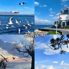 JIN SHANG REASTAURANT User Photo