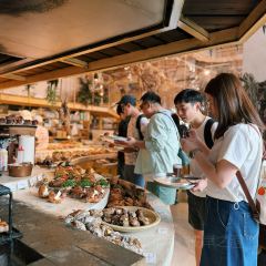 Dacomecca張用戶圖片