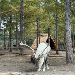 本达人海鲜烧烤(发展店) User Photo