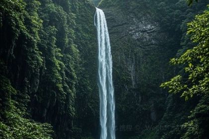 李坑·德馨居农家菜馆