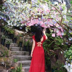 幽兰落 User Photo