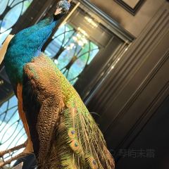 喜筵28·精细潮粤菜(五大道王府店) User Photo