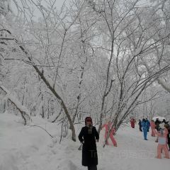 雪乡纳山纳雪酒店·中餐厅 User Photo