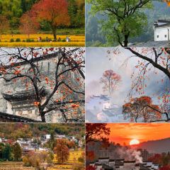 秀嫂挞粿 User Photo