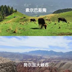 ZHENG FEI DAIRY User Photo