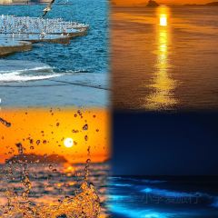 ROYAL OCEAN User Photo