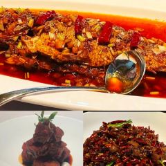 Camellia & Seasons User Photo