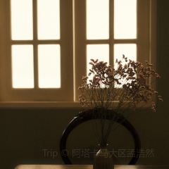 Cafe Arte張用戶圖片