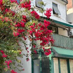 poker face coffee張用戶圖片