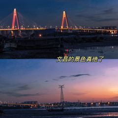 Pier Dad tea 여행 사진