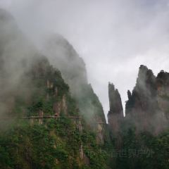 莽山天台山美食 User Photo