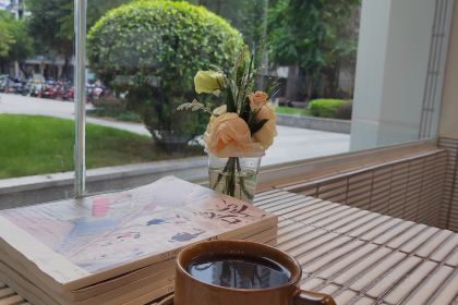 LOTUSTREE鹿豆咖啡(乌山店)