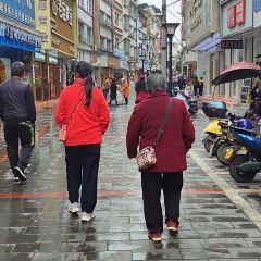 夏黑子坛子鱼(总店) User Photo
