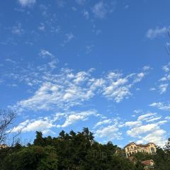 蜜悦·秘野仙踪半山森林餐厅 User Photo