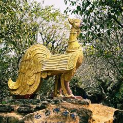 He shun cun jia wei dao ảnh của người dùng