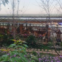 Still cafe User Photo