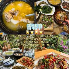 味水记忆·青城野菜土鸡汤(青城后山泰安古镇店) User Photo