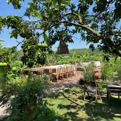 青禾文创田院 User Photo