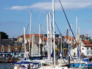 Anstruther Fish Bar