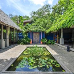 Baba nest User Photo