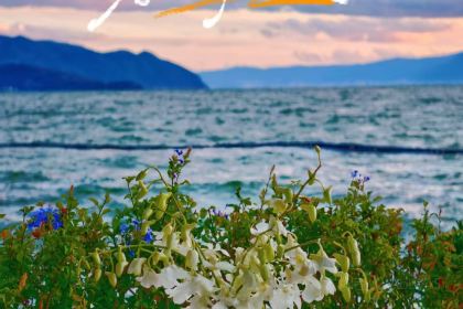 世内桃源·落日海景餐厅(双廊店)