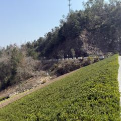 山水人家張用戶圖片