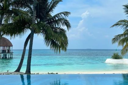 Moonlight - FOOD . DRINKS . SHISHA