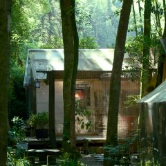 Qin Restaurant User Photo