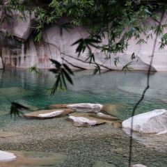 老陈紫溪粉(海洋公园店) User Photo