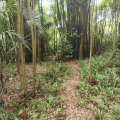 山涧别院 User Photo