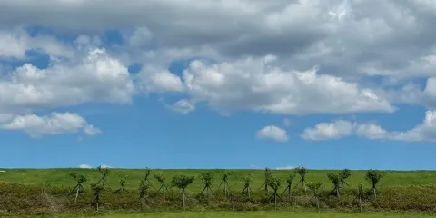 微笑綠洲生態營地