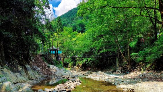 Beiluoxiao Forest Park