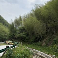 月亮湾瀑布咖啡 User Photo