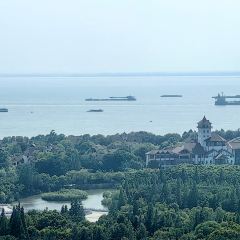 Qisu Court User Photo